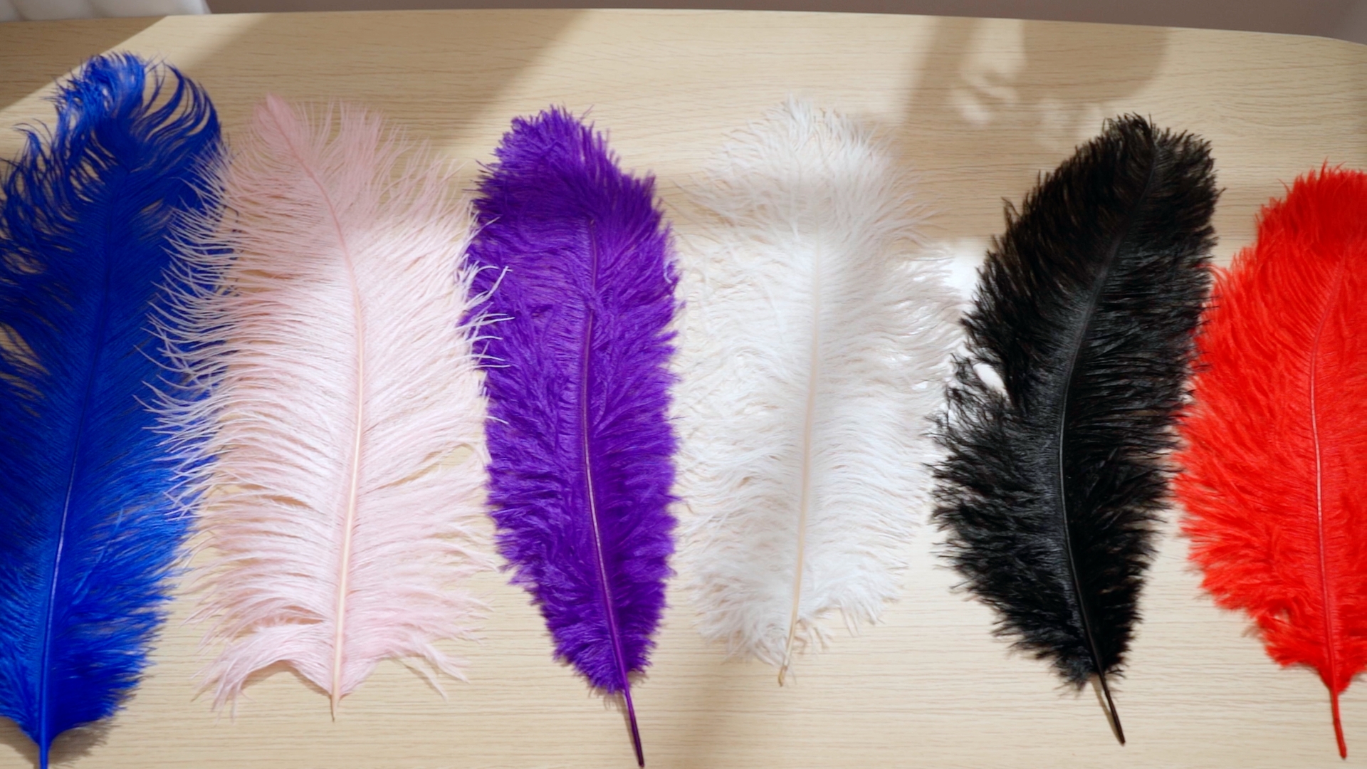 Amazon.com: Retrowavy 50 Pcs 14-16 Inches Large Natural Ostrich